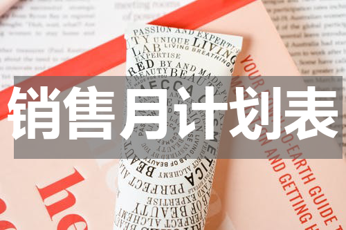 销售月计划表