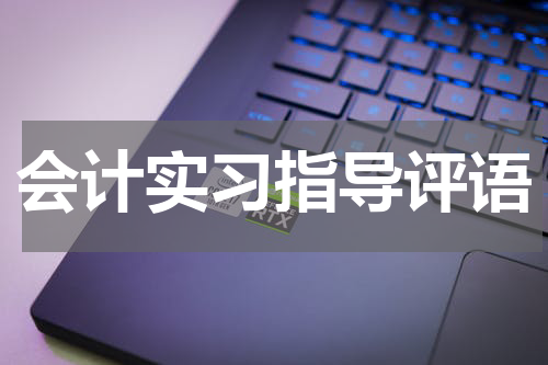 会计实习指导评语