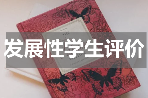 发展性学生评价