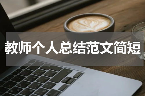 教师个人总结范文简短
