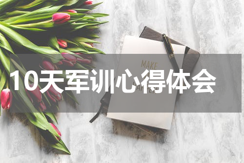 10天军训心得体会