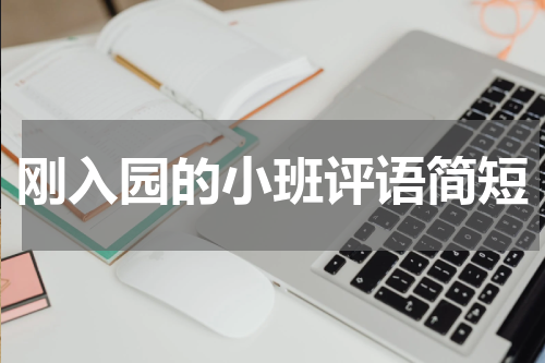 刚入园的小班评语简短