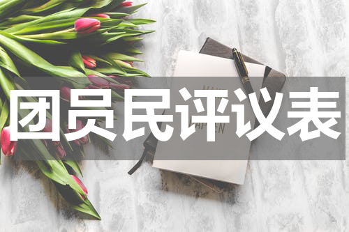 团员民评议表