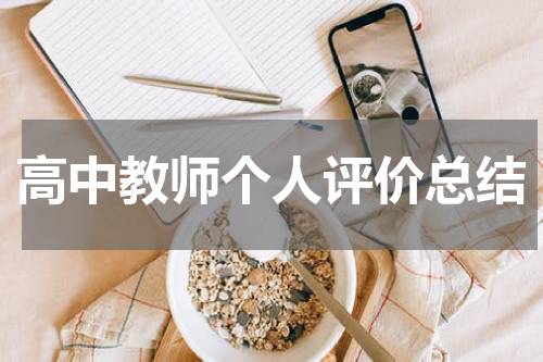高中教师个人评价总结
