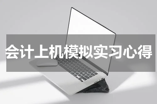 会计上机模拟实习心得