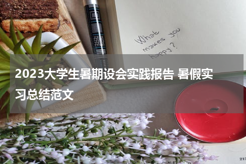 2023大学生暑期设会实践报告 暑假实习总结范文