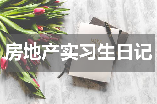 房地产实习生日记