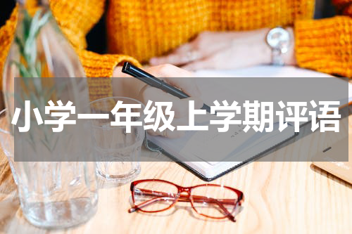 小学一年级上学期评语