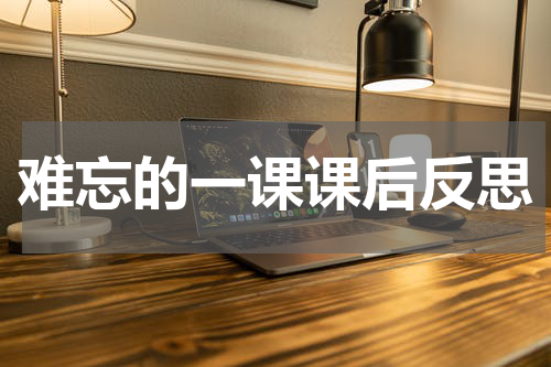 难忘的一课课后反思