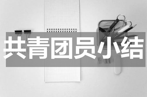 共青团员小结