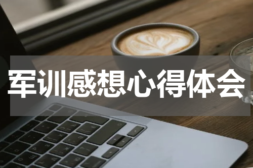 军训感想心得体会