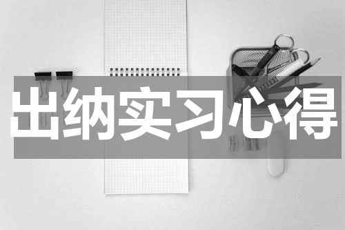 出纳实习心得
