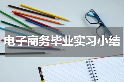 电子商务毕业实习小结