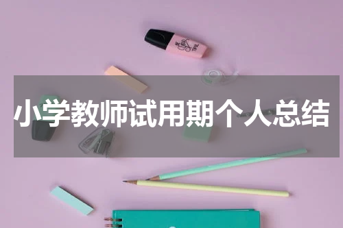 小学教师试用期个人总结