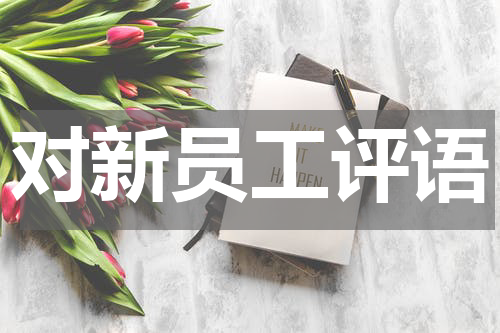 对新员工评语
