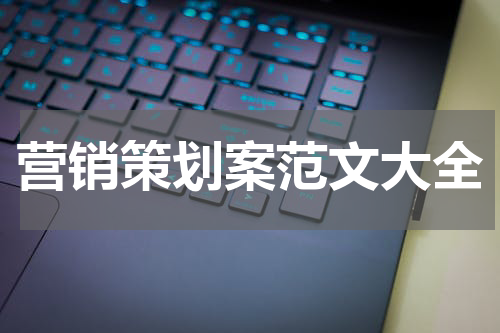 营销策划案范文大全