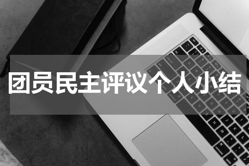 团员民主评议个人小结
