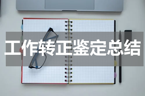 工作转正鉴定总结
