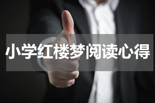 小学红楼梦阅读心得