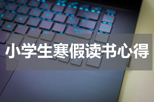 小学生寒假读书心得
