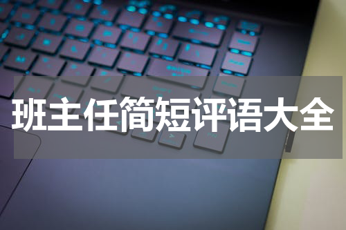 班主任简短评语大全