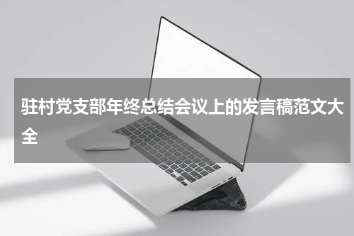 驻村党支部年终总结会议上的发言稿范文大全