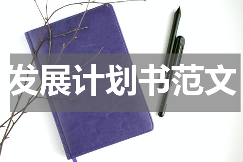 发展计划书范文