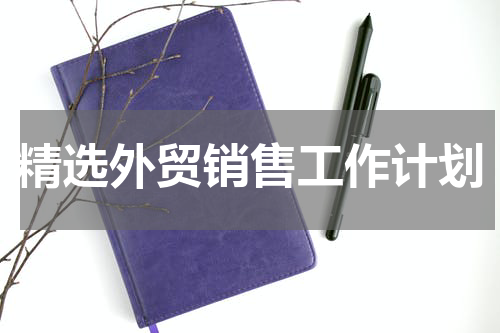 精选外贸销售工作计划