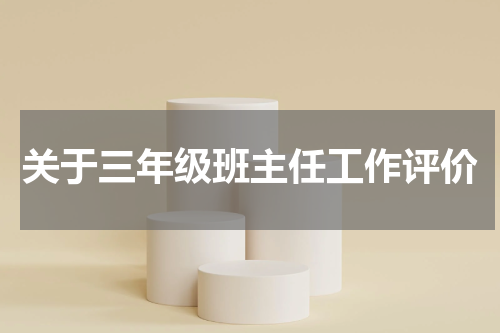 关于三年级班主任工作评价