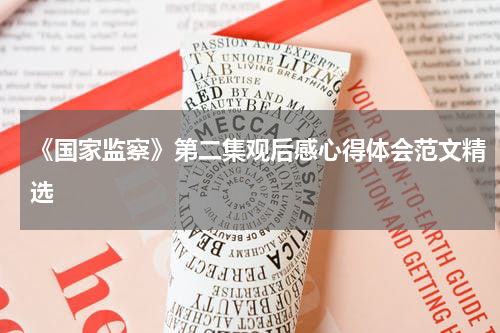 《国家监察》第二集观后感心得体会范文精选