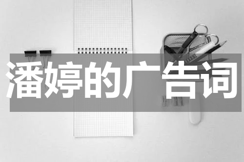 潘婷的广告词