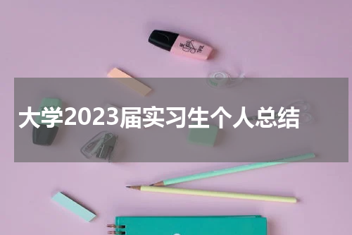 大学2023届实习生个人总结