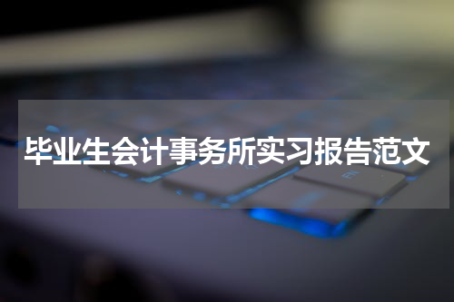 毕业生会计事务所实习报告范文