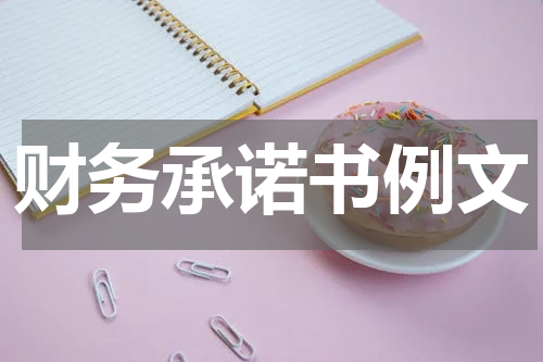 财务承诺书例文
