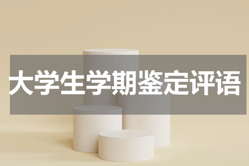 大学生学期鉴定评语