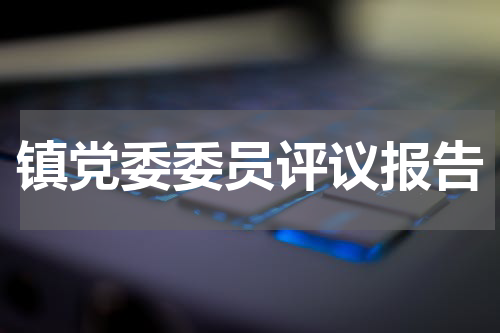 镇党委委员评议报告