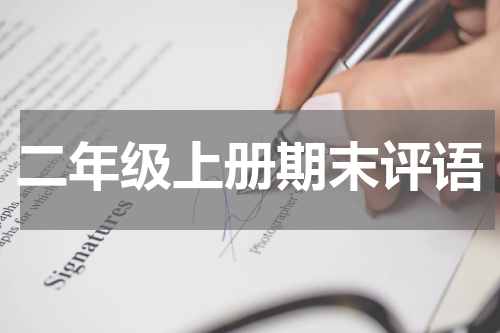 二年级上册期末评语