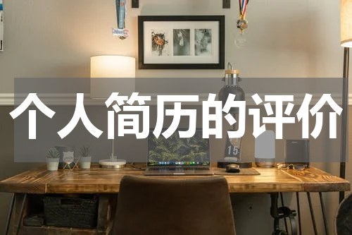 个人简历的评价