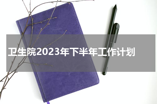 卫生院2023年下半年工作计划