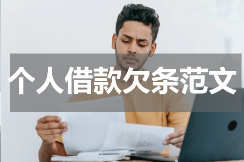 个人借款欠条范文