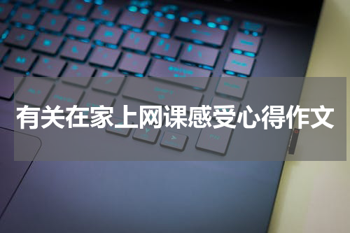 有关在家上网课感受心得作文