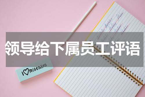 领导给下属员工评语