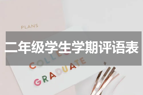 二年级学生学期评语表