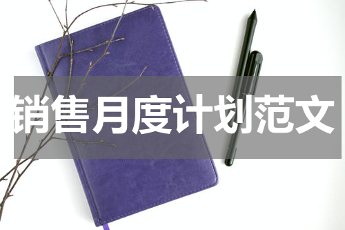 销售月度计划范文