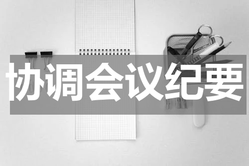 协调会议纪要