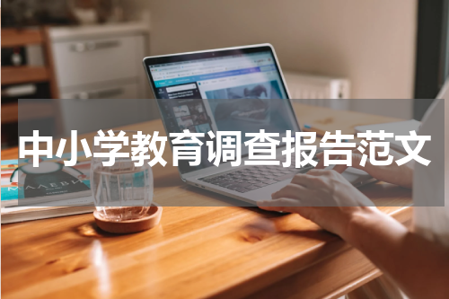 中小学教育调查报告范文