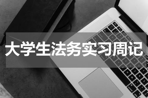 大学生法务实习周记