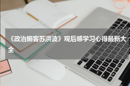 《政治掮客苏洪波》观后感学习心得最新大全