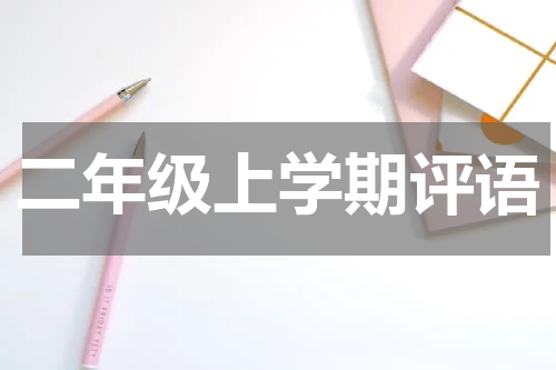 二年级上学期评语