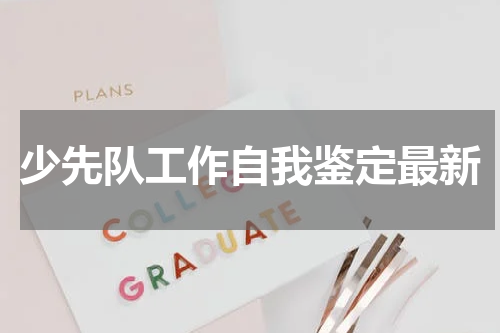 少先队工作自我鉴定最新